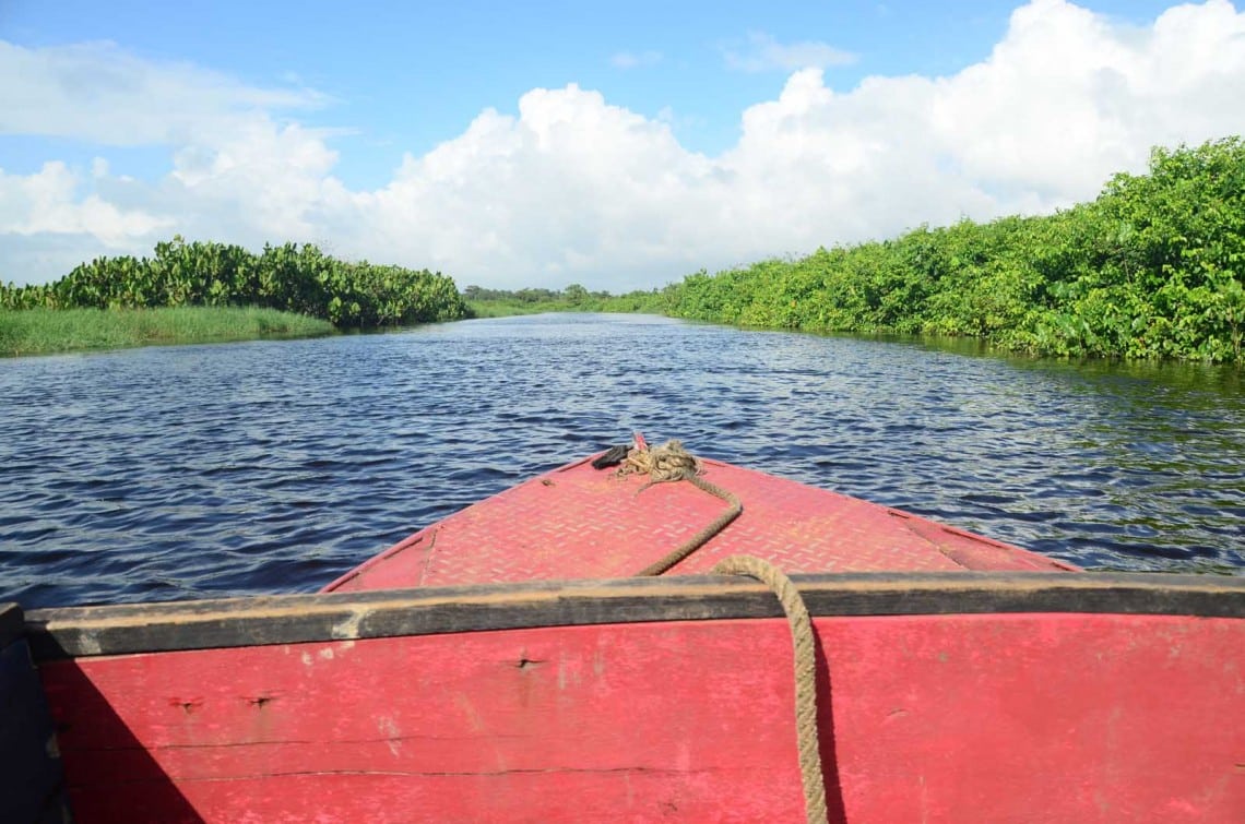 Pirogue aux marais de Kaw, Guyane