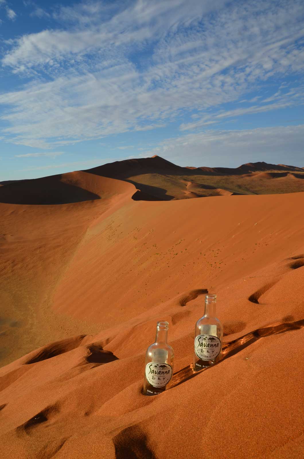 Savanna Dry dans les dunes