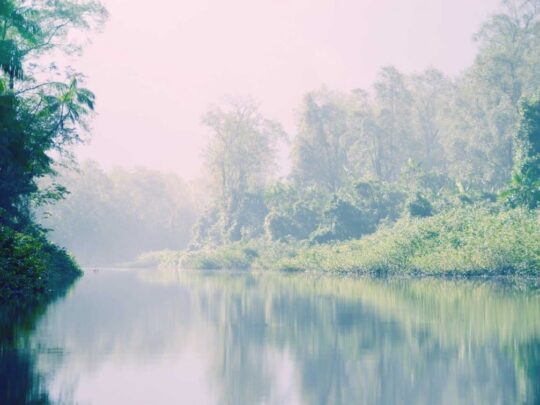 Marais de Kaw Guyane